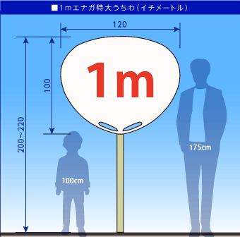 祭り大うちわ